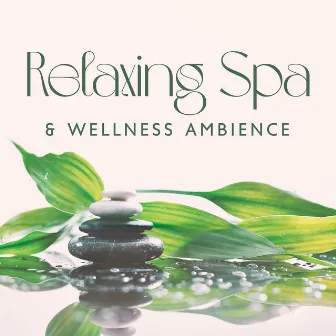 Relaxing Spa & Wellness Ambience: Massage Therapy, Meditation, Reiki, Yoga, Sleep Music | Zen New Age by Spa And Wellness Ambience