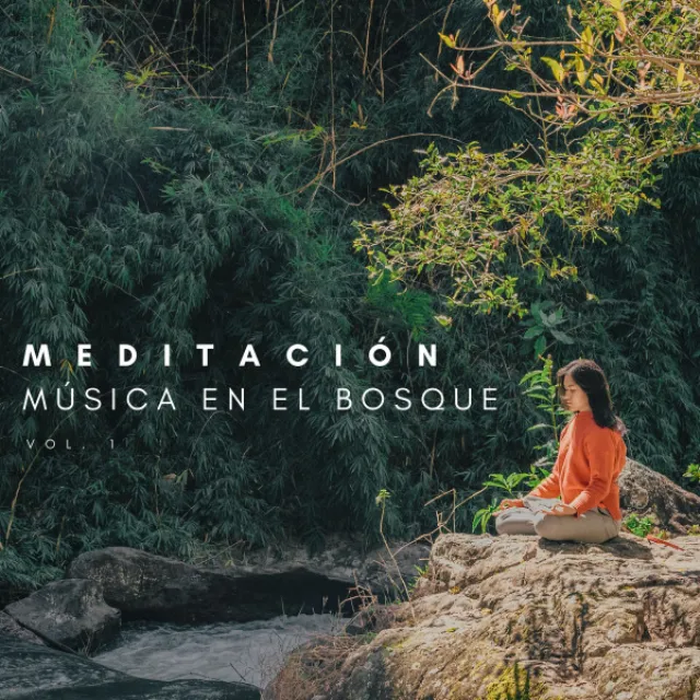 Meditación Música En El Bosque Vol. 1