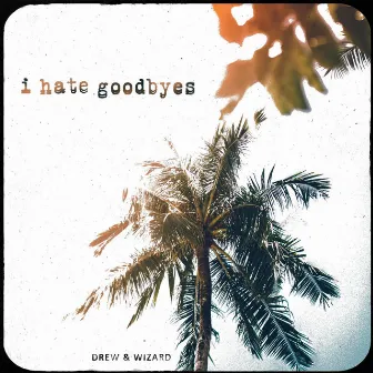 I Hate Goodbyes by Drew