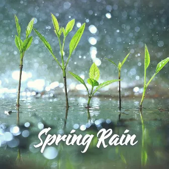 Spring Rain: Meditation for Regeneration & New Energy by Harmony Nature Sounds Academy