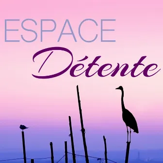 Espace Détente - Musique Massage Modelage du Corps pour Bien-être, Relaxation et Méditation, Compilation pour Spa by Pure Relaxing Spa Music