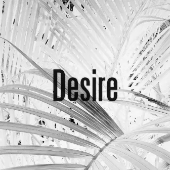 Desire (Jonas Remix) by Lisa Bregneager