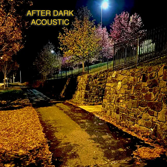 After Dark (Acoustic)