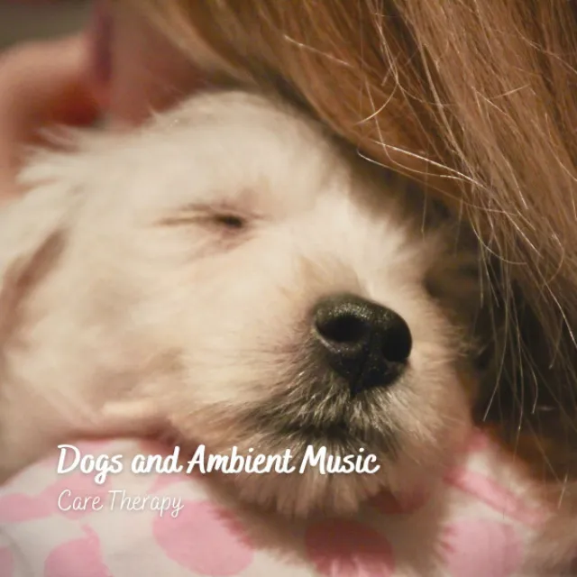 Dogs and Ambient Music: Care Therapy