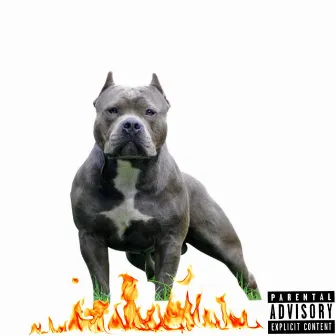 Big Dog by 2Fresh