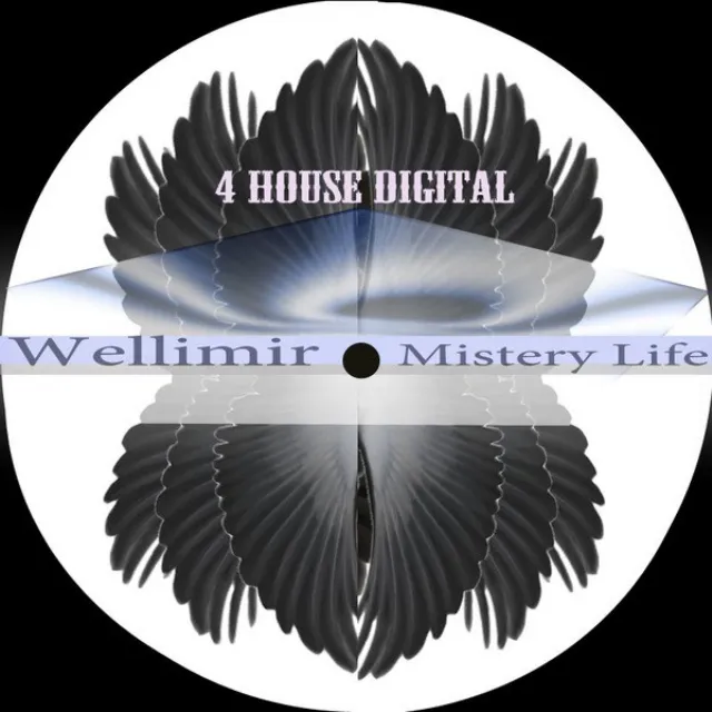 Mistery Life - Original Mix