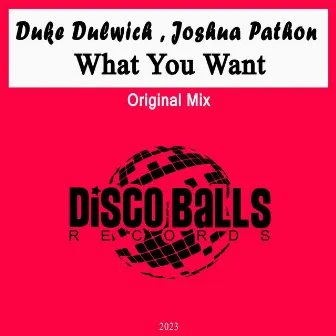 What You Want by Joshua Pathon