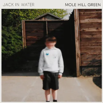 Mole Hill Green by Jack in Water