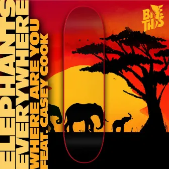 Where Are You (Feat. Casey Cook) by Elephants Everywhere