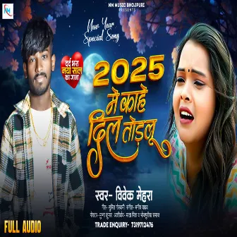 2025 Me Kahe Dil Todalu by Vivek Mehra