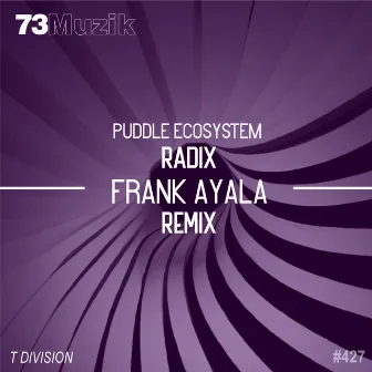 Radix (Frank Ayala Remix) by Puddle EcoSystem