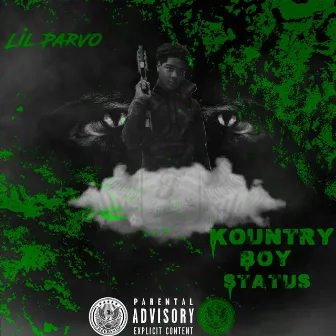 Kountry Boy Status by Lil Parvo