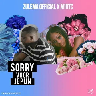 Sorry Voor Je Pijn by Zulema