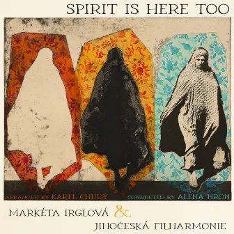 Spirit Is Here Too by Jihočeská Filharmonie