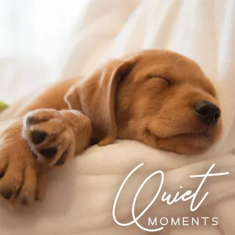 Quiet Moments: Doggy Relax, Soothing Music for Dog Restful Sleep, Anxiety Relief and Relaxation by Pets Music