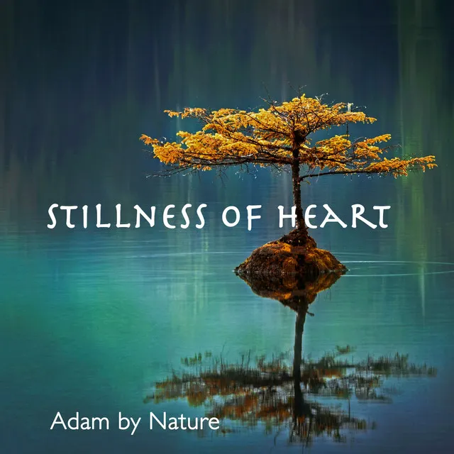 Stillness Of Heart