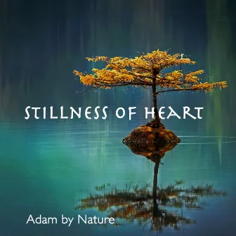 Stillness Of Heart by Adam By Nature