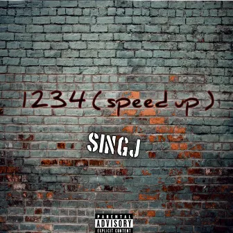 1234 (speed up) by Singj