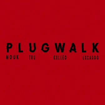 Plugwalk by Unknown Artist