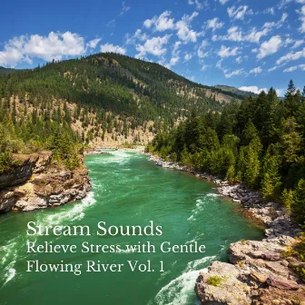 Stream Sounds: Relieve Stress with Gentle Flowing River Vol. 1 by Timmy Sleepsounds