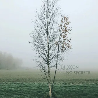 No Secrets by Dj_xcon