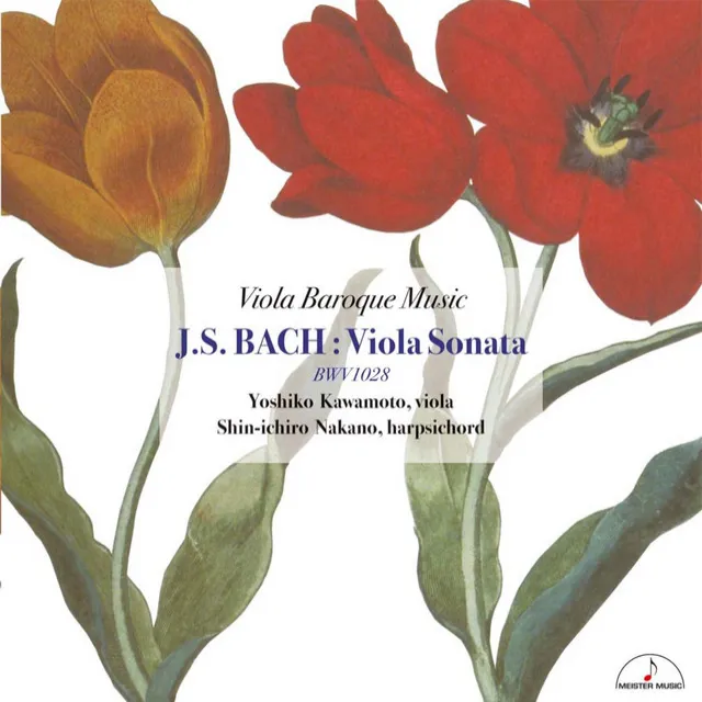 J.S. Bach : Viola Sonata BWV1028 Viola Baroque Music