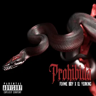 Prohibida by Flvme Boy