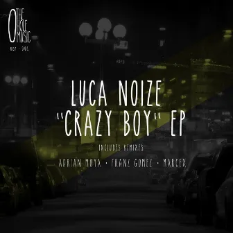 Crazy Boy by Luca Noize