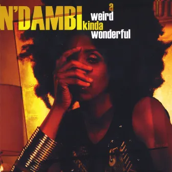 A Weird Kinda Wonderful by N'Dambi