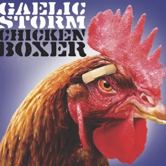 Chicken Boxer by Gaelic Storm