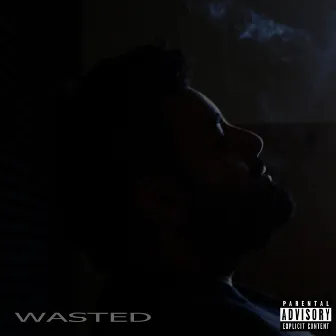 Wasted by Vineill