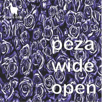 Wide Open (Original Mix) by Peza