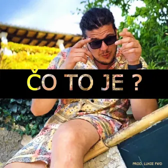 Čo To Je ? by Ronald Weedman