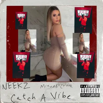 Catch A Vibe by Neekz$