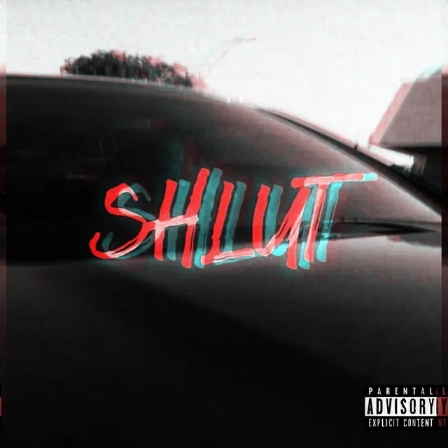 SHLUT - Chopped