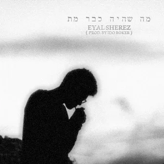 מה שהיה כבר מת by Eyal Sherez