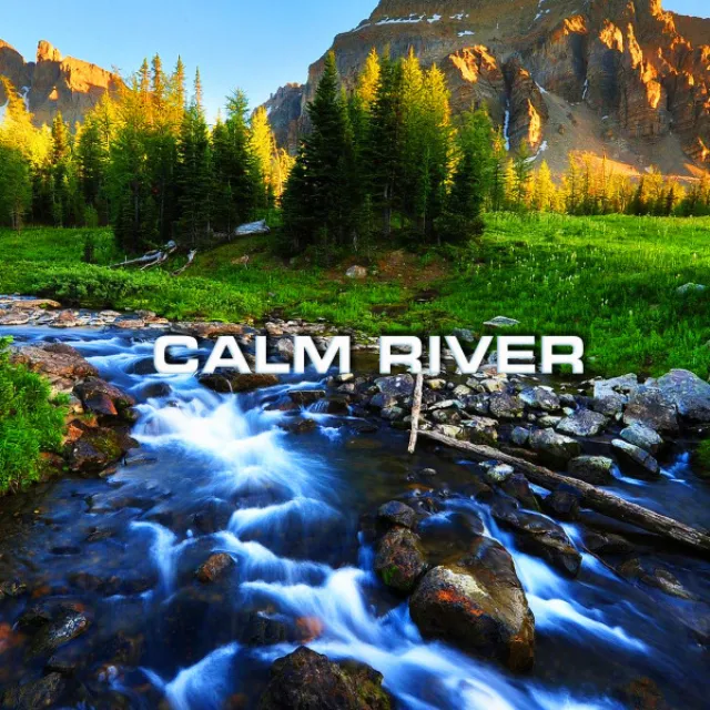 Soothing Calm River Sounds