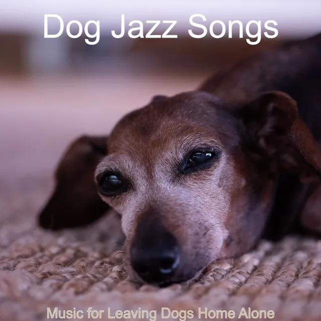 Music for Leaving Dogs Home Alone