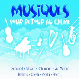 Musiques pour retour au calme (L'intégrale) by Jacques Chambon