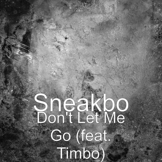 Don't Let Me Go (feat. Timbo)