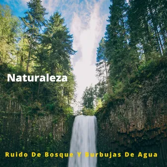 Naturaleza: Ruido De Bosque Y Burbujas De Agua by Bosque Tropical