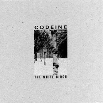 The White Birch by Codeine