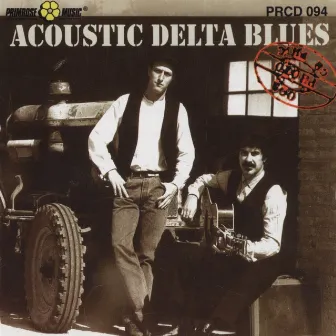 Acoustic Delta Blues by Carlo Ambrosio