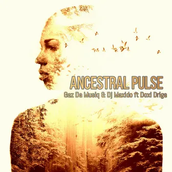 Ancestral Pulse by Dj Maxido