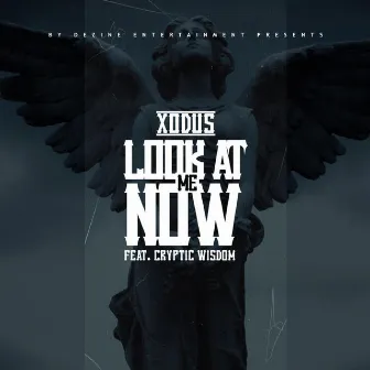 Look at Me Now (feat. Cryptic Wisdom) by XODUS