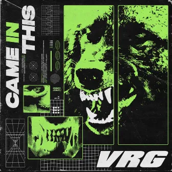 Came in This by VRG