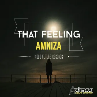 That Feeling by Amniza