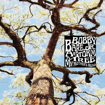 A Storm - A Tree - My Mother's Head by Bobby Bare Jr.