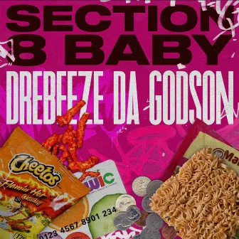 Section 8 Baby by DreBeeze Da Godson