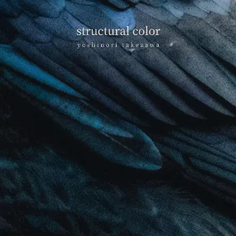 structural color by yoshinori takezawa